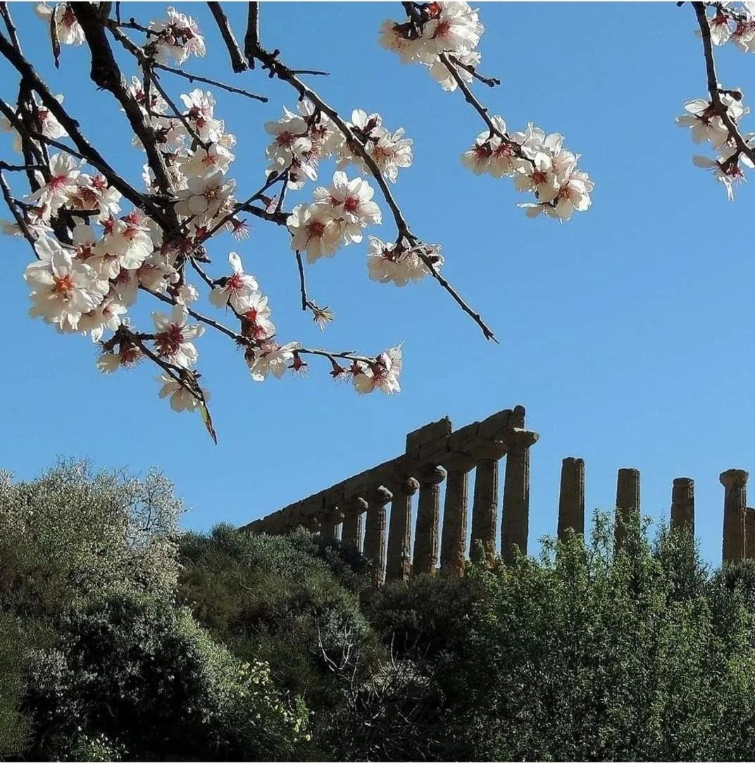 B&B Giunone Agrigento Bilik gambar
